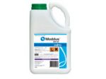 Moddus 250 EC - plant growth regulator in the form of a concentrate used for cereals - 5L